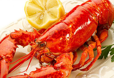 Burger Amca Spesial Burger